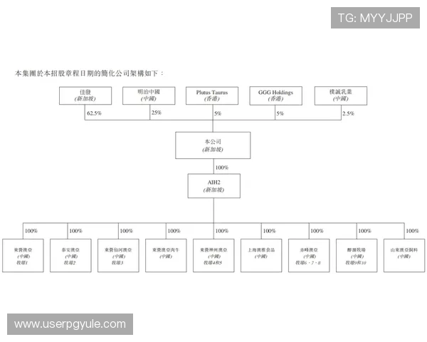 详解AG亚L游国际平台的注册流程、充值方式及客户服务保障体系